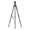 BOG 1163389