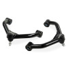 Cognito Motorsports 110-91244