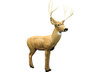 Rinehart Target 18011