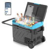 Renogy DCCR40L-G1-US