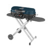 Coleman 2000033051
