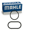 Mahle C32601