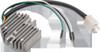 Ricks Motorsport Electrics 10-100