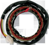 Ricks Motorsport Electrics 21-101