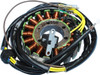 Ricks Motorsport Electrics 21-560