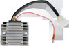 Ricks Motorsport Electrics 10-304