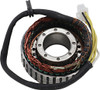 Ricks Motorsport Electrics 21-157