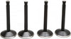Kibblewhite 20-22000