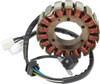 Ricks Motorsport Electrics 21-057
