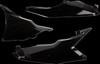 UFO Plastics KT05012#001