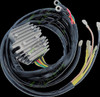 Ricks Motorsport Electrics 10-0012