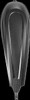 Saddleman CF-821-07-001M