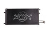 CSF 10695