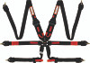 RaceQuip 855005