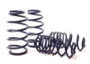 H/R Springs 50702