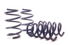 H/R Springs 50760
