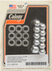 Colony 8751-19