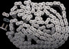 EK Chain 530DR2-160C