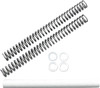 Race Tech FRSP S3234095
