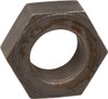 Colony 7826-1