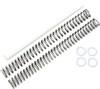 Race Tech FRSP S3234085