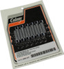 Colony 2400-12-P