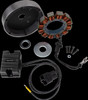Cycle Electric 21121748
