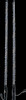 Brite-Lites BL-WPCOB4