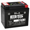 BS Battery 300843