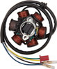 Ricks Motorsport Electrics 21-061