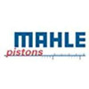 Mahle 225-3673