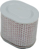 Hiflofiltro HFA1713