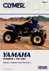 Clymer Publications CM4875