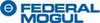 Federal Mogul 224101R