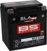 BS Battery 300935