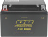 QuadBoss 401379