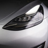 Tesbros TB-HEADLIGHTPPF-3