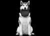 Husky Liners 59071