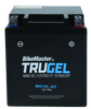 BikeMaster 780500
