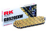 RK Racing Chain GB520EXW-100
