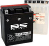 BS Battery 300606