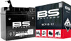 BS Battery 300628