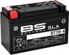 BS Battery 300641