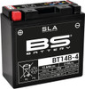 BS Battery 300644