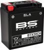 BS Battery 300766