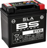 BS Battery 300670