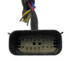 AlphaRex 810016