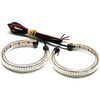 New Rage Cycles RAGE-360-37