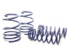 H/R Springs 54462