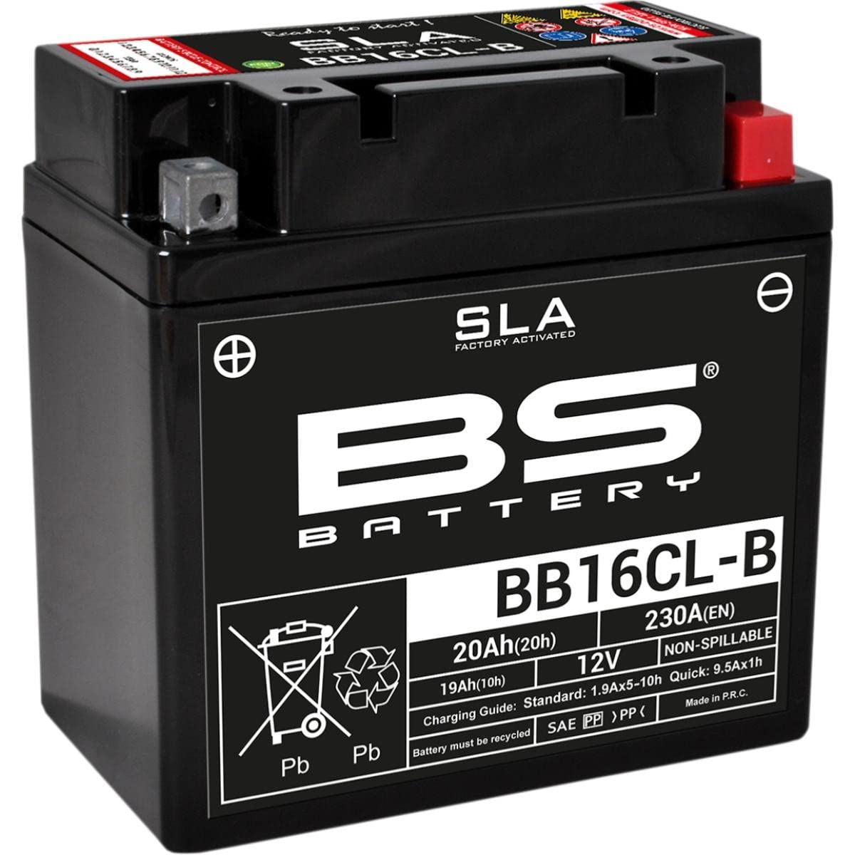BS Battery 300771